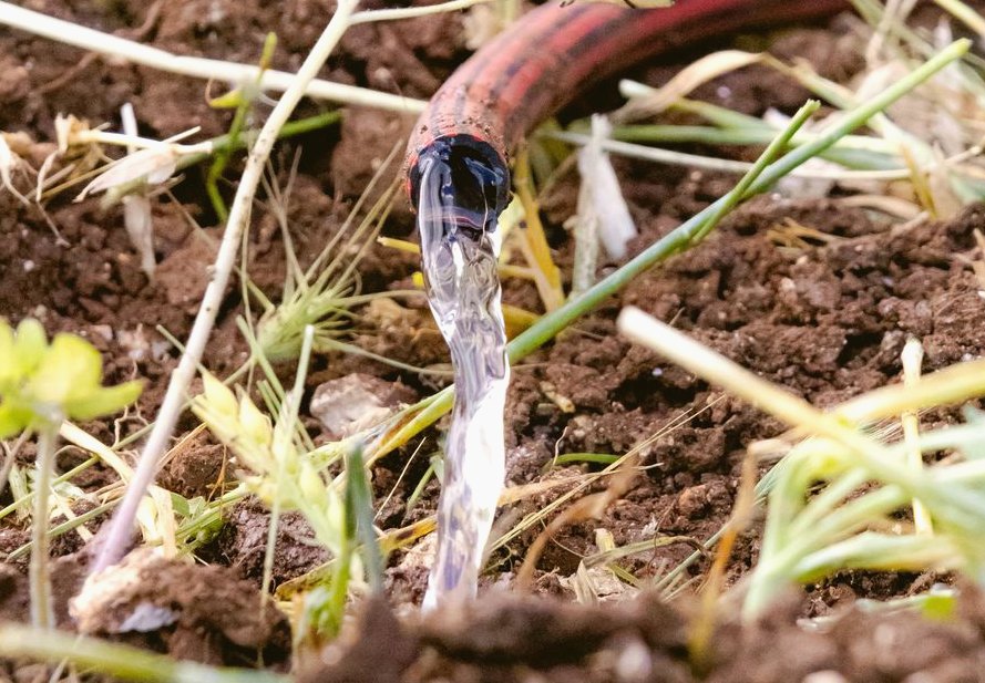 Photo of drip irrigation repair work