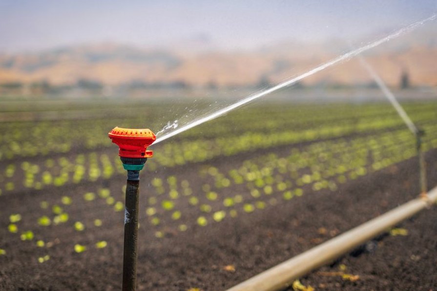 Drip Irrigation Repair in Denton
