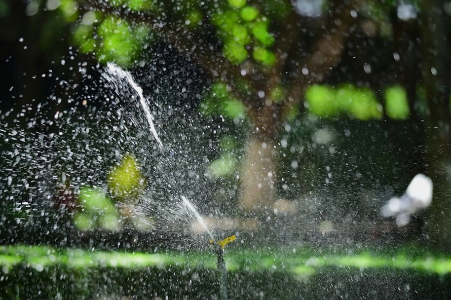 Close-up of a garden sprinkler watering a lush green lawn with sunlight creating sparkling water droplets