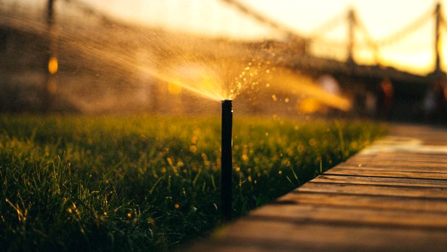 A sprinkler irrigating a green lawn with sunlight filtering through water droplets