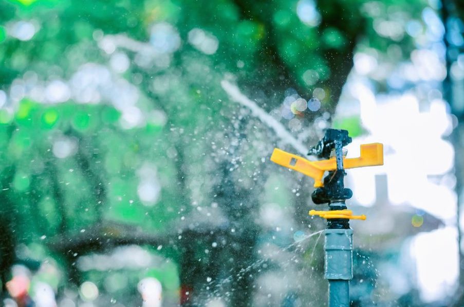 Sprinkler Repair Cost Guide in Denton